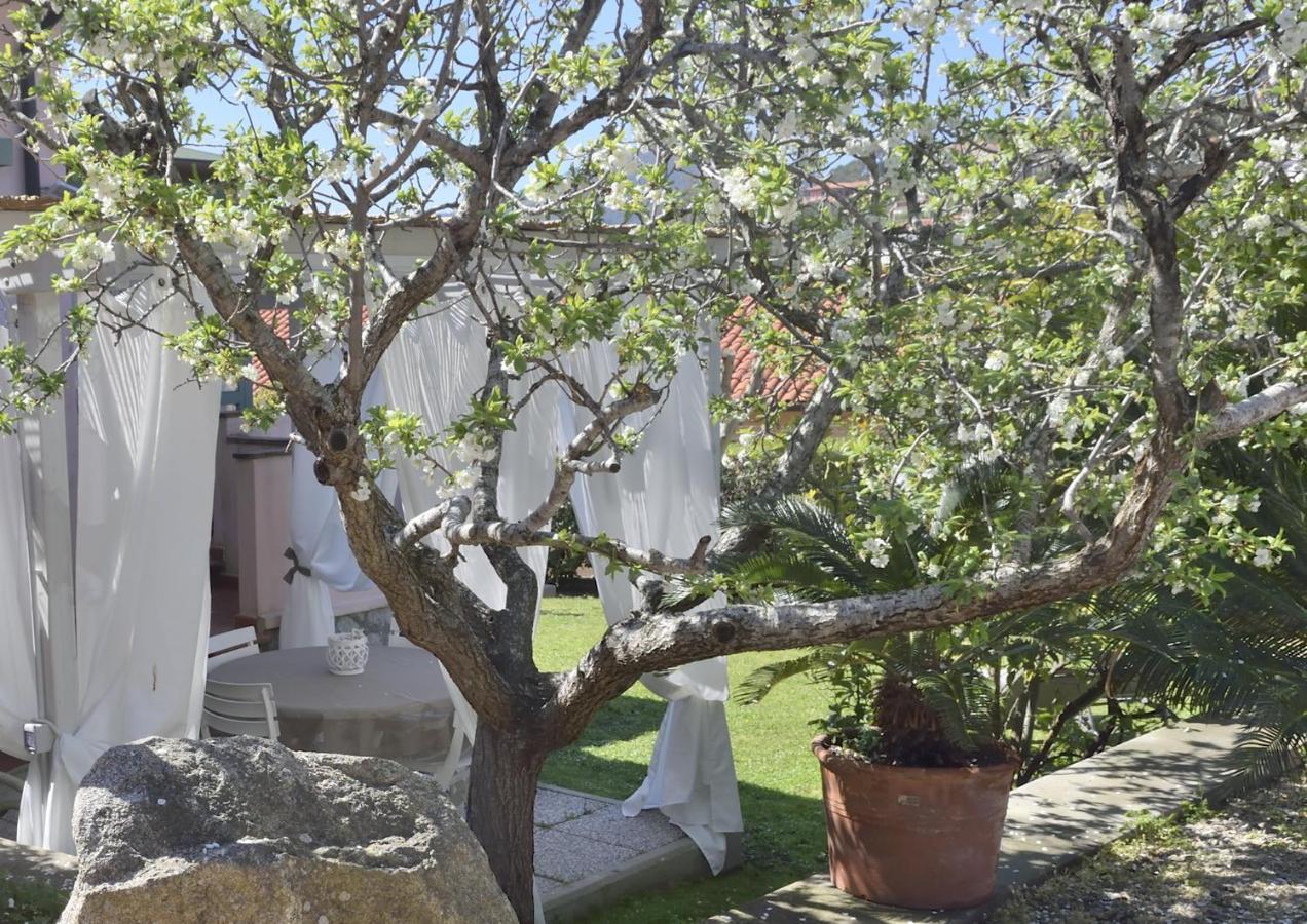Villa Fiore Apartments Portoferraio Eksteriør billede