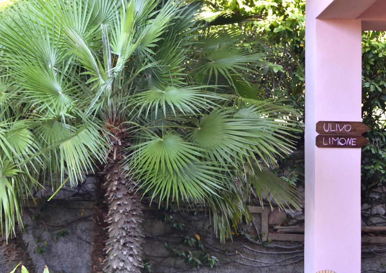 Villa Fiore Apartments Portoferraio Eksteriør billede